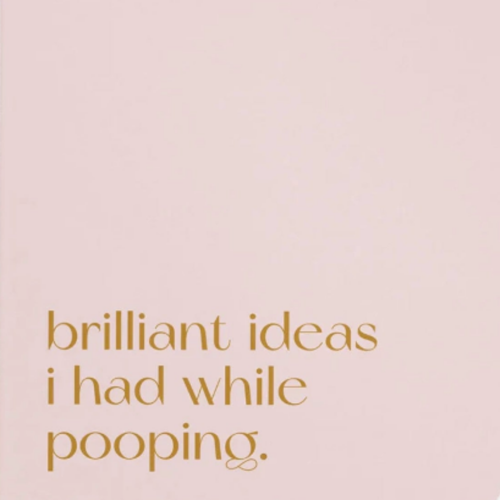 Carnet A5 40 pages · Brilliant ideas I had while pooping