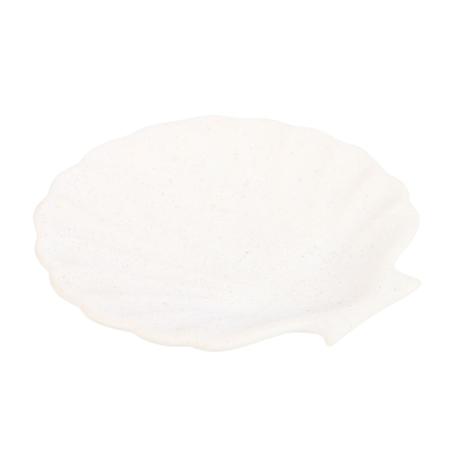 Porte-encens · Coquillage blanc