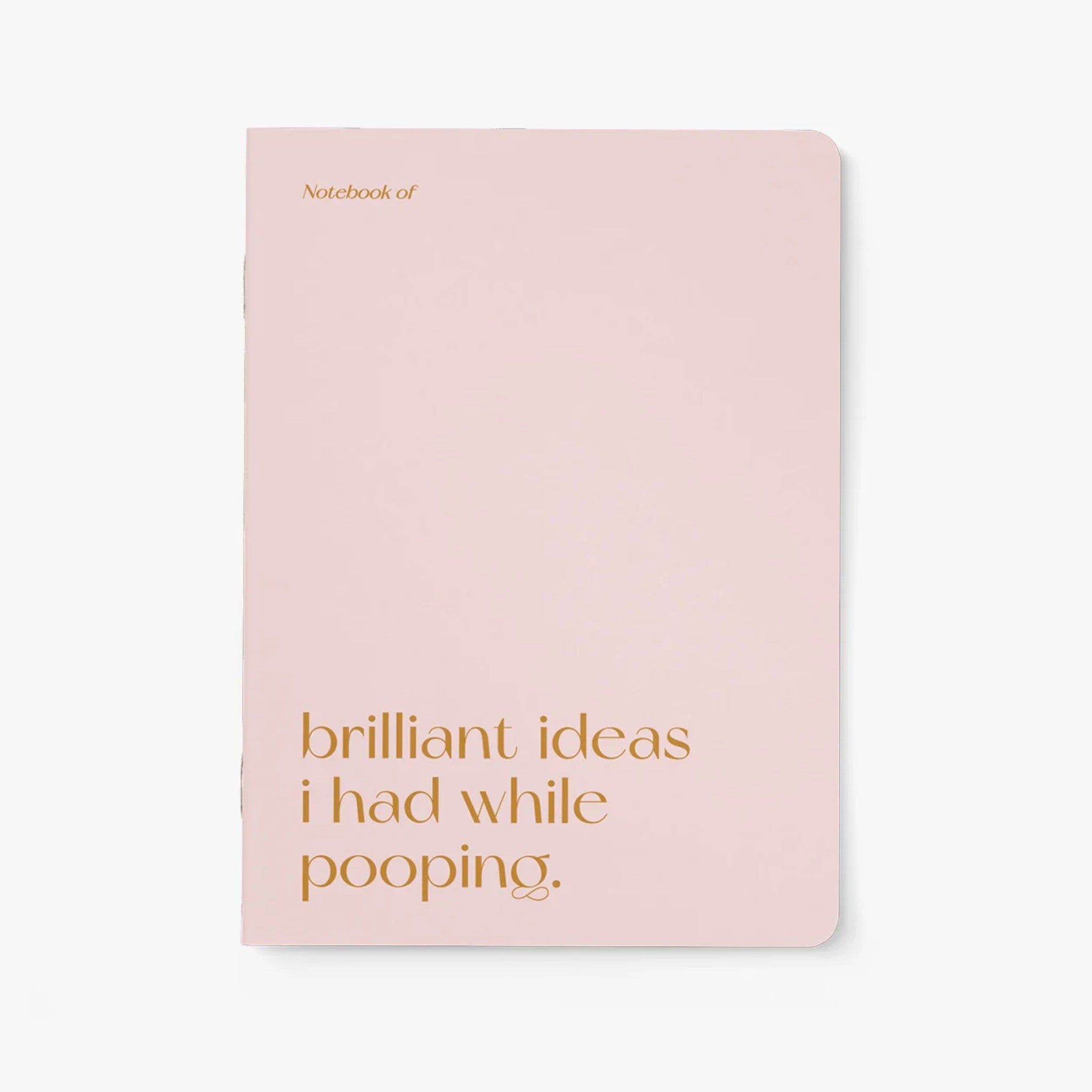 Carnet A5 40 pages · Brilliant ideas I had while pooping