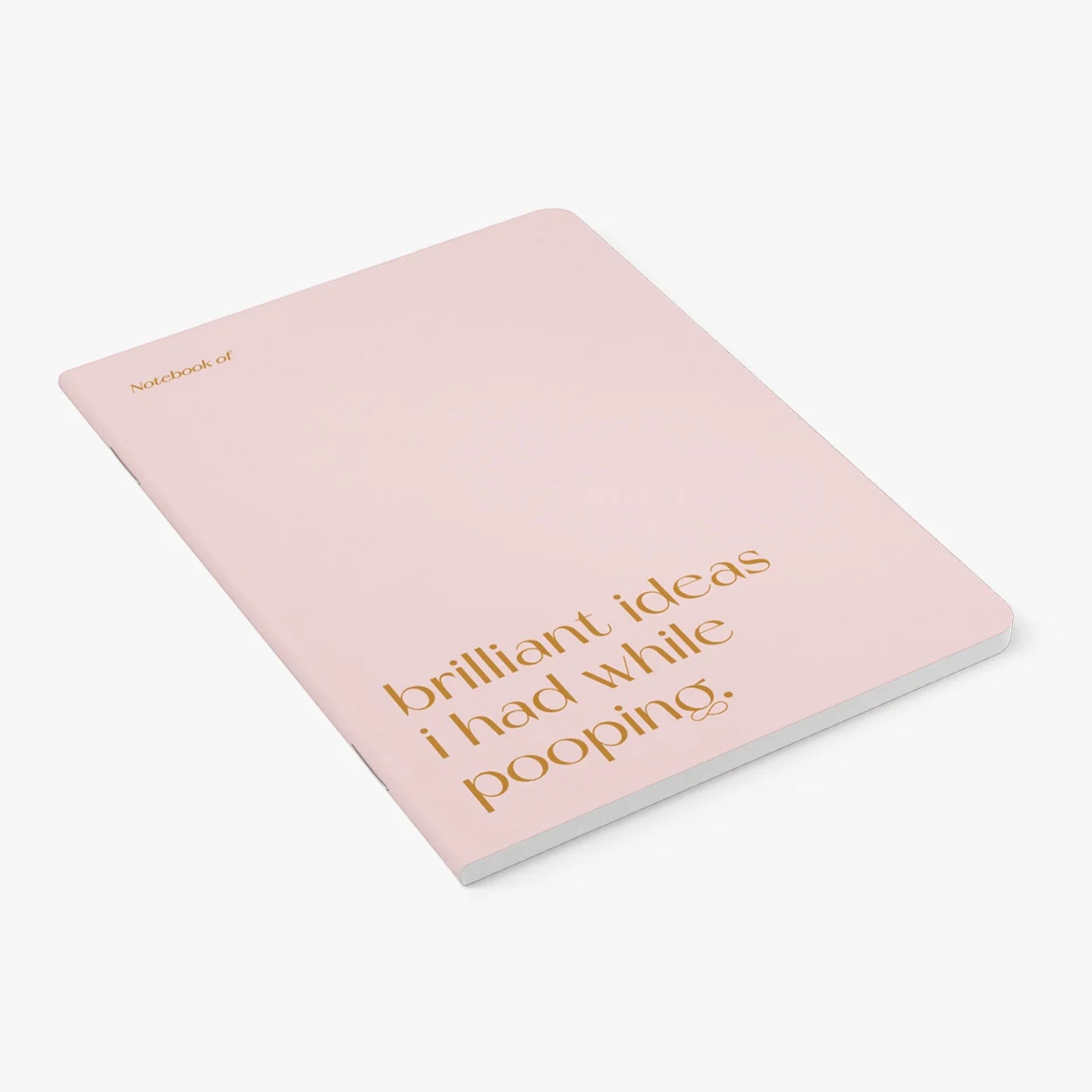 Carnet A5 40 pages · Brilliant ideas I had while pooping