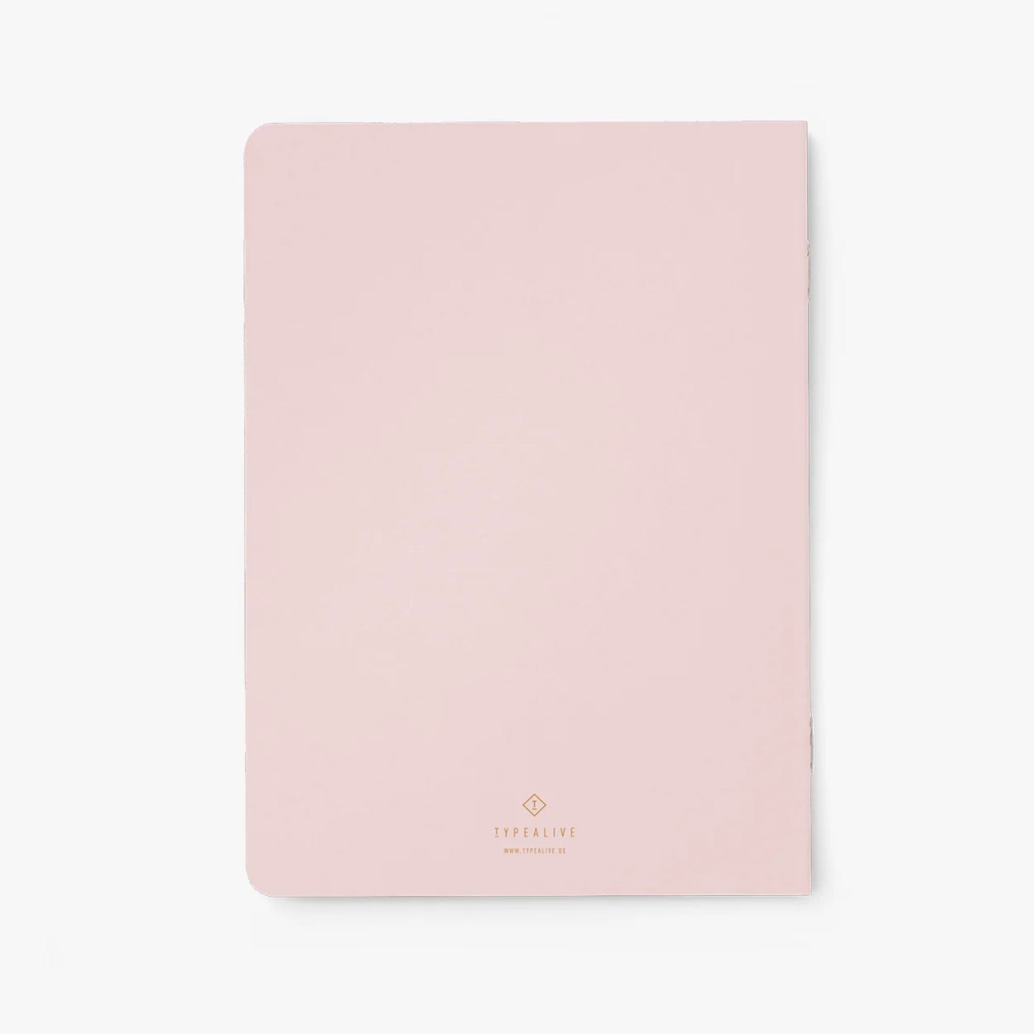 Carnet A5 40 pages · Brilliant ideas I had while pooping