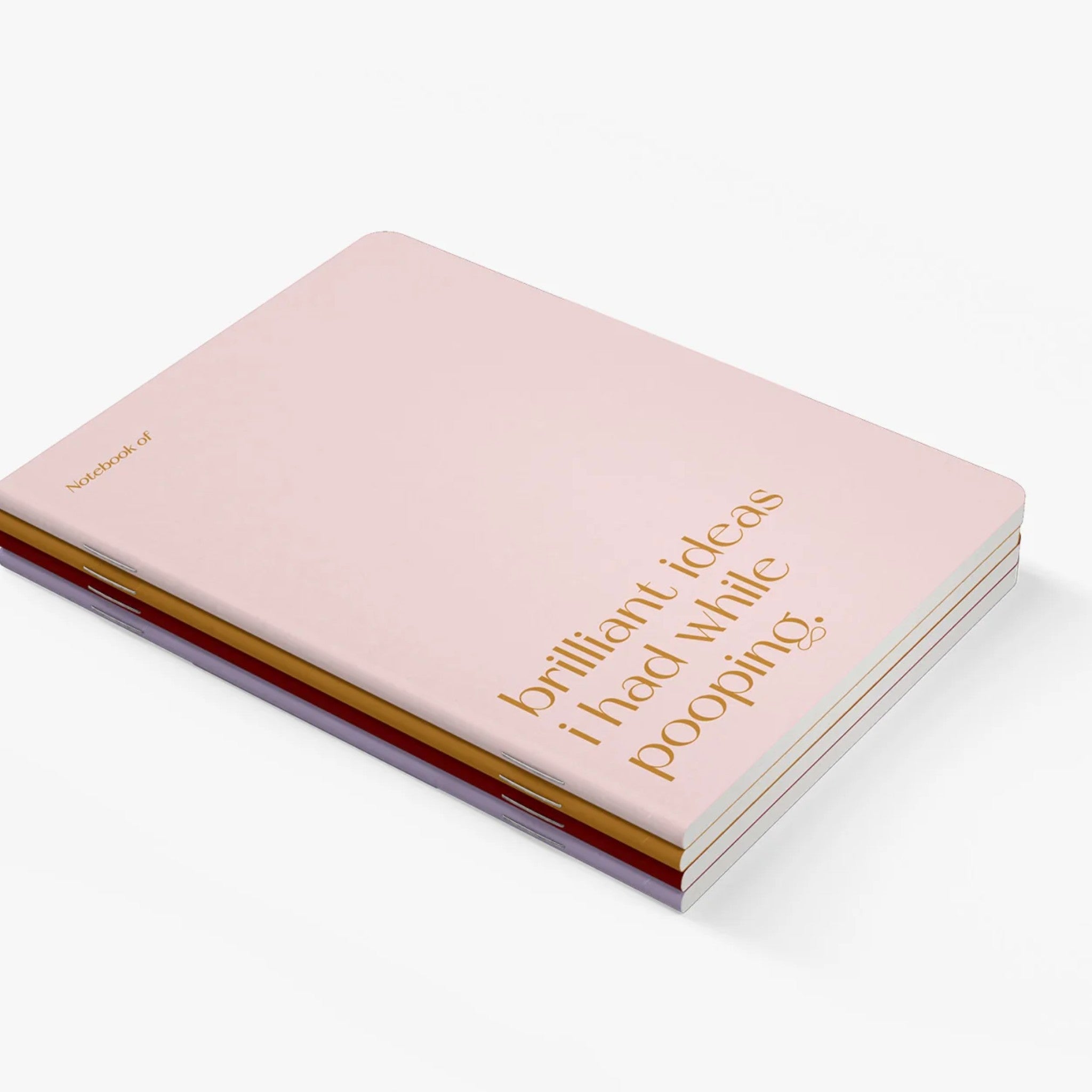 Carnet A5 40 pages · Brilliant ideas I had while pooping